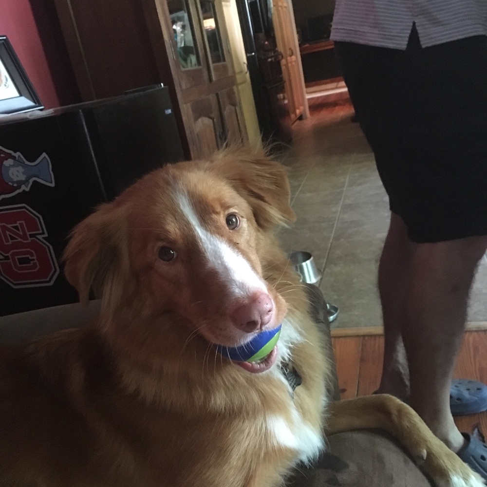 Meet your Posher, Sara